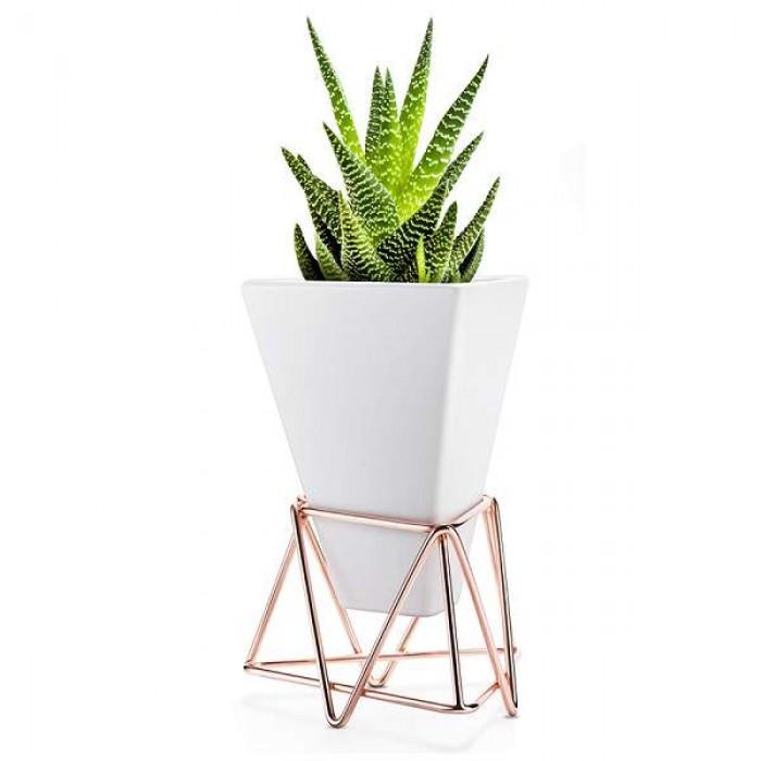 Indoor Plantation Ceramic Pots