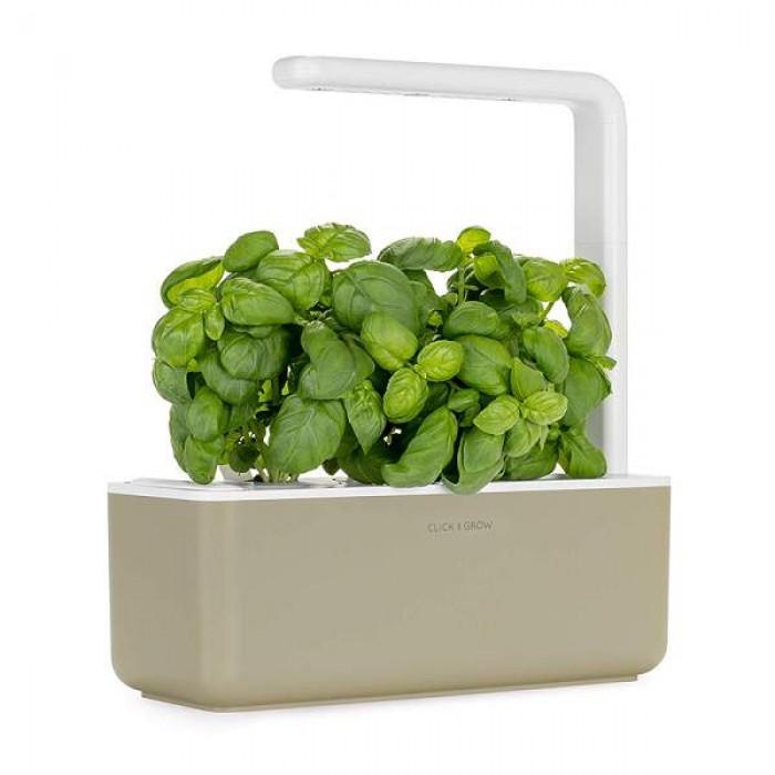 Indoor Plant Gardening Kit