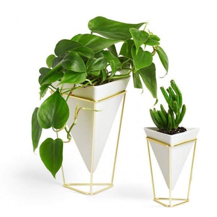 Indoor Plantation Hanger Pots