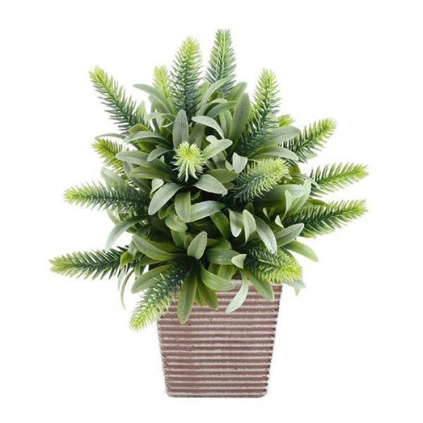 Quality Pots for Indoor Plants