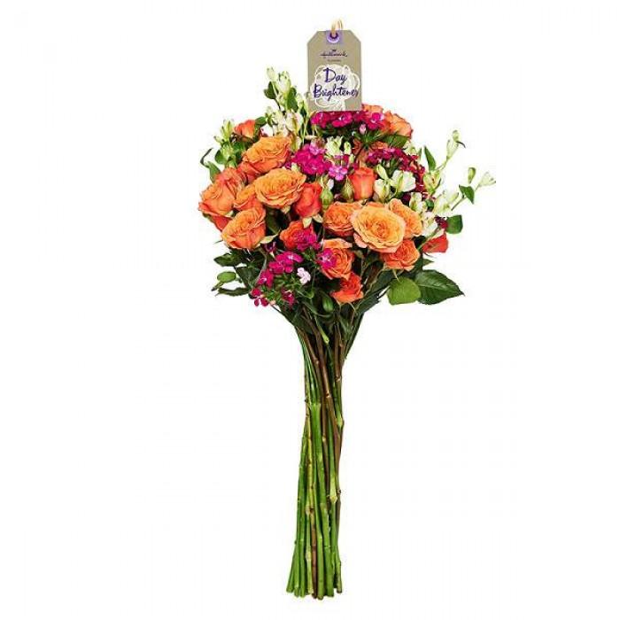 Designer's Choice - Mixed Arrangement