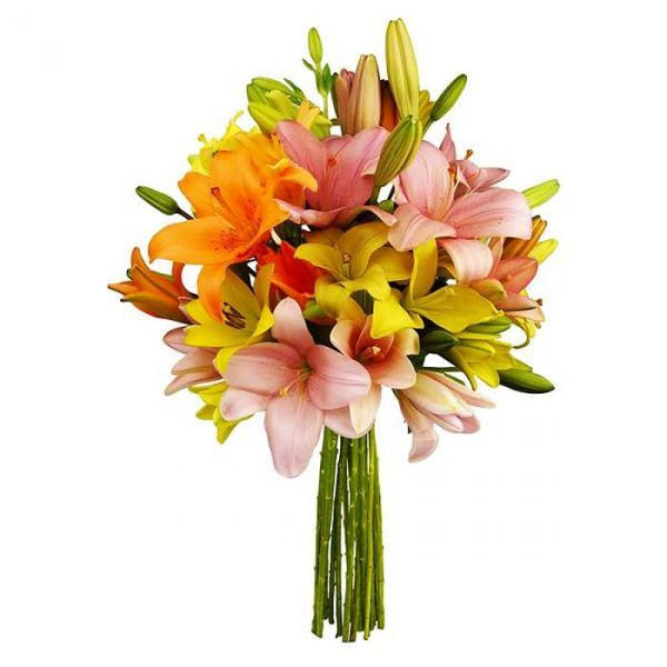 Designer's Choice - Mixed Arrangement