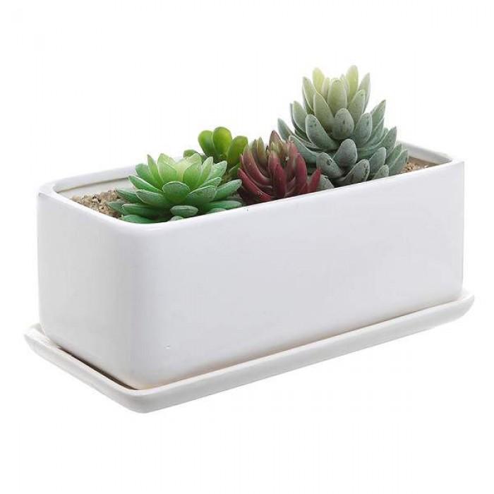 Decoration Pots for Indoor Plants