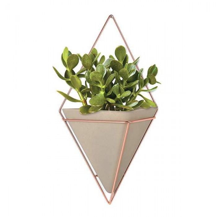 Decoration Pots for Indoor Plants